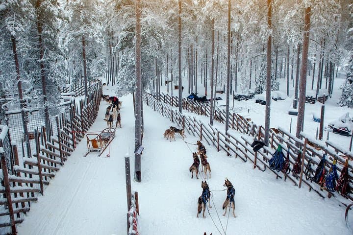 Reindeer Ride Husky Meet and Greet with Santa Claus Village