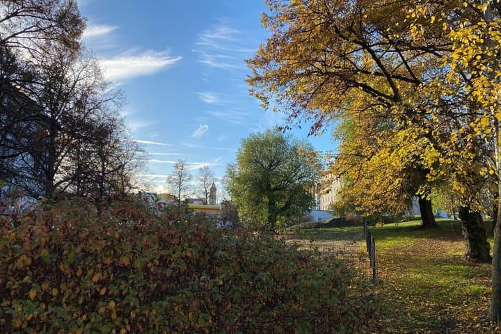 Helsinki and Suomenlinna: Guided Sightseeing and Ferry Ride