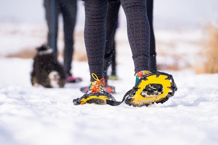 White Snowshoeing Experience in Levi