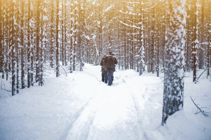 White Snowshoeing Experience in Levi