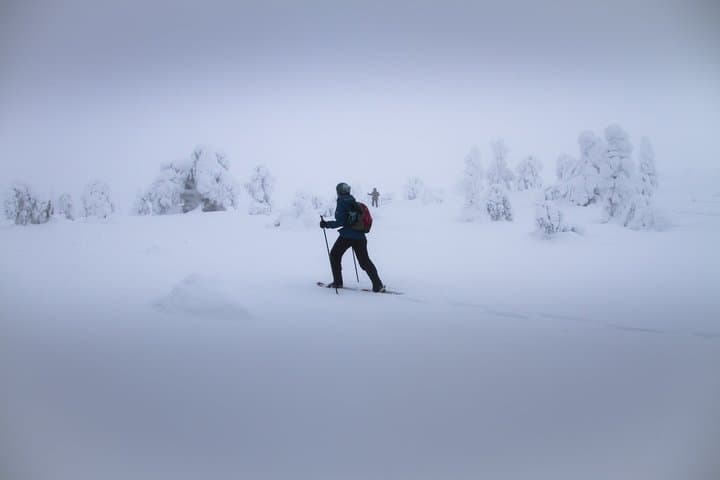 White Snowshoeing Experience in Levi