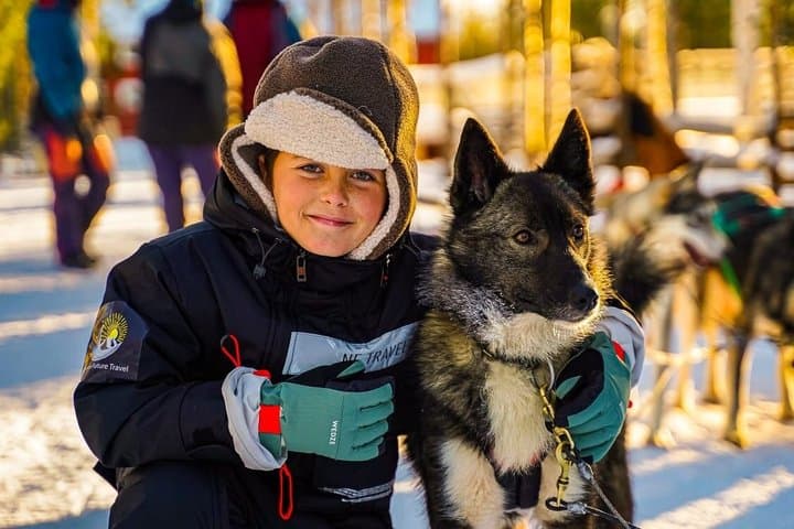 Rovaniemi: Arctic Husky Safari Tour