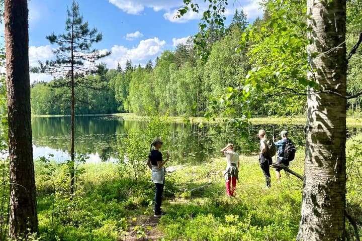 Magical Taiga Forest Hike with Lunch and Transportation