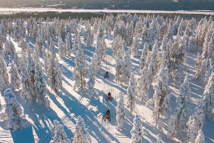 Snowmobile Safari into the Arctic Circle Forest