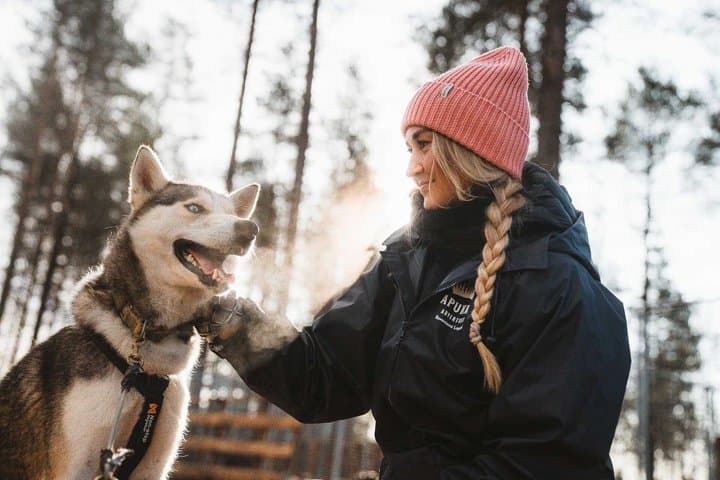 Autumn Husky Ride on Wheels, Apukka Resort Rovaniemi