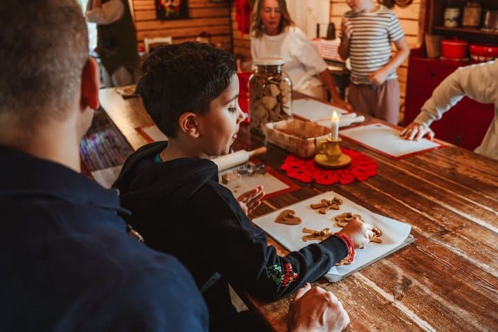 Meet Santa Claus and His Friends in Rovaniemi