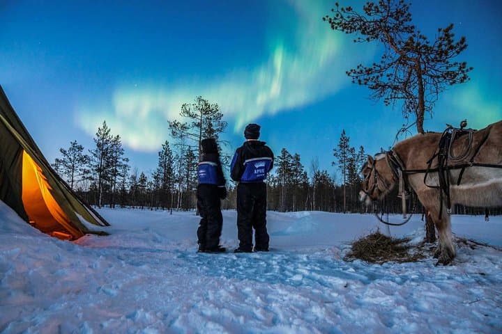 Horse Sleigh Ride Under The Night Sky in Apukka Resort, Rovaniemi