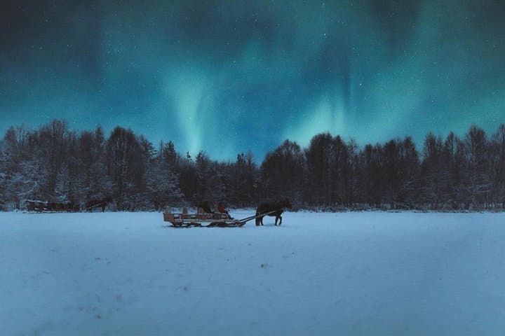 Horse Sleigh Ride Under The Night Sky in Apukka Resort, Rovaniemi
