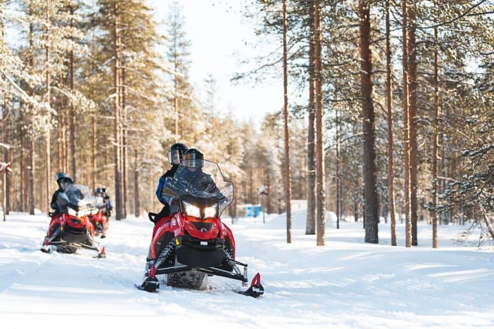 Snowmobile Safari with Reindeer Feeding and Sleigh Ride in Levi