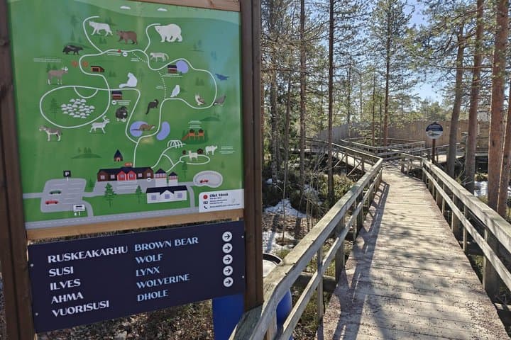 Arctic Wildlife Adventure Ranua Zoo Tour at Rovaniemi and Lapland
