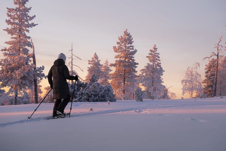 Snowshoeing Experience Explore the Silent Arctic Forest Rovaniem