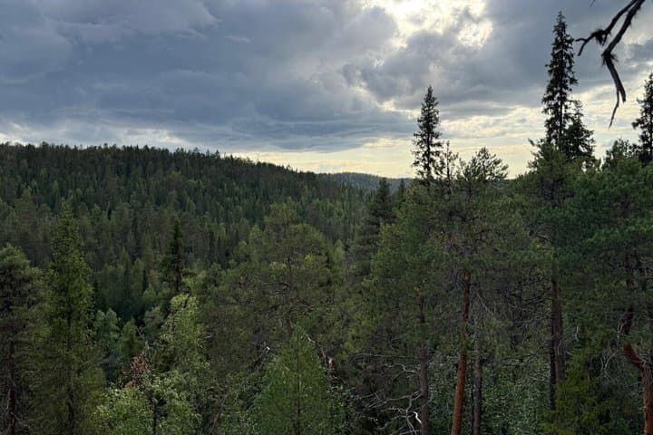 Midnight Sun Nature Experience at Pattaskivalo