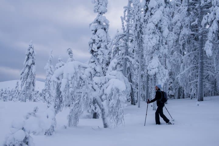 Backcountry Skiing Tour in Ylläs Wilderness