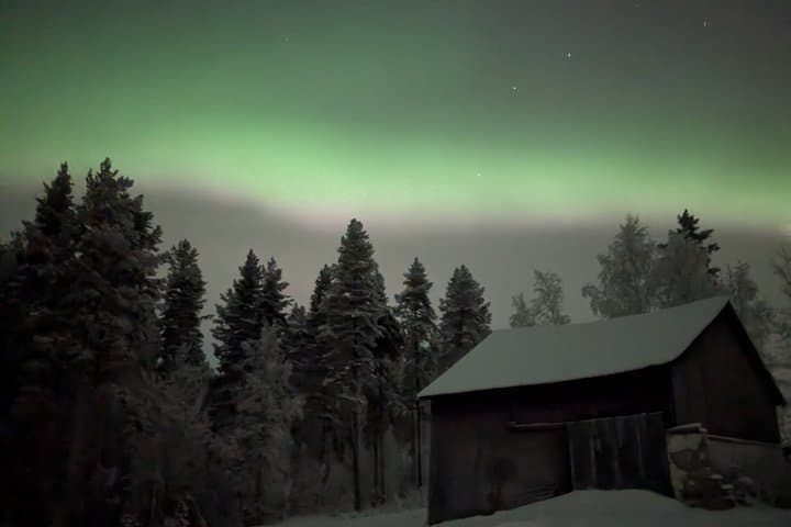 Rovaniemi Northern Lights Reindeer Sleigh Ride 3.5 KM