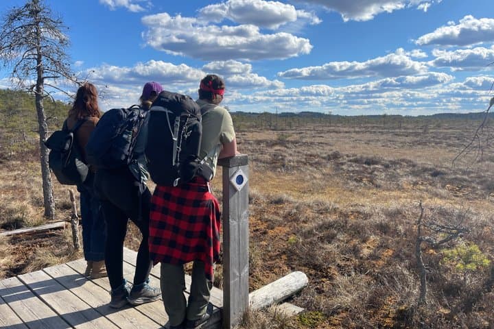 Full-Day Hike in Torronsuo’s Wild Bog from Helsinki
