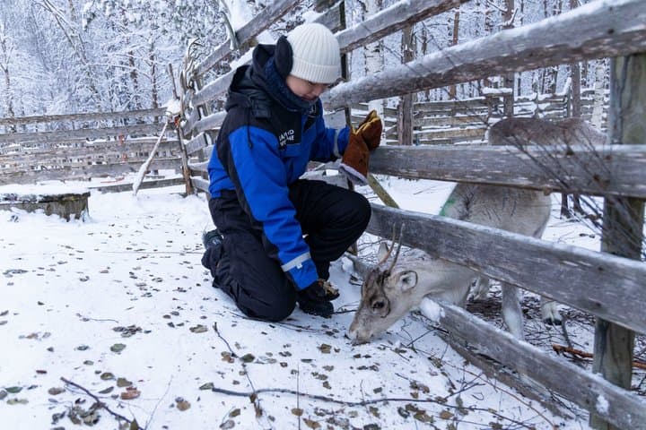 Snowmobile Safari to Reindeer Farm - Rovaniemi