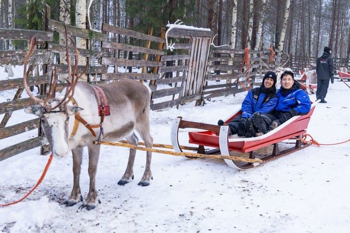 Snowmobile Safari to Reindeer Farm - Rovaniemi