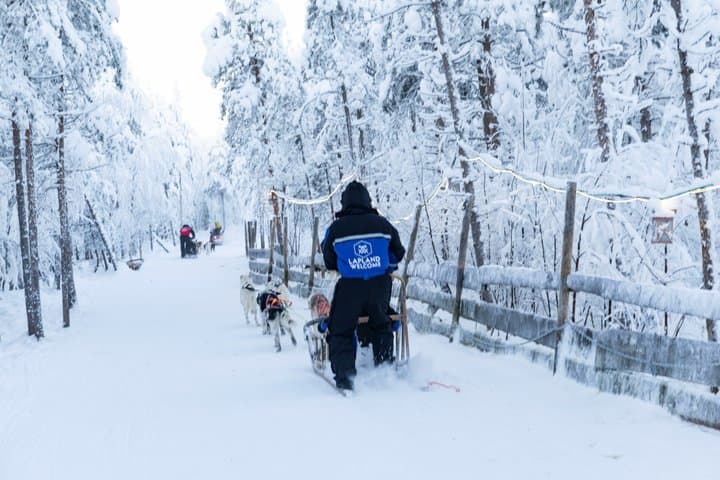 Arctic Combo, Huskies & Reindeer - Rovaniemi
