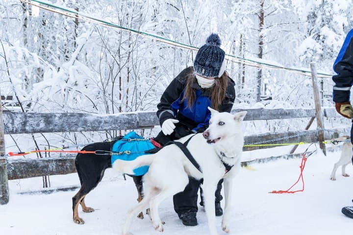 Snowmobile Safari to Husky Farm - Rovaniemi