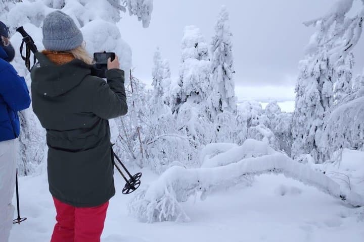 Snowshoe Adventure in Vuokatti Winter Wonderland
