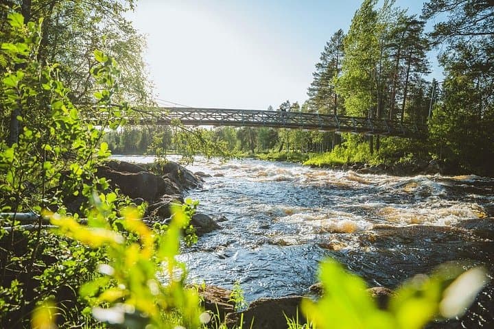 Santa Claus Village & Rovaniemi Nature, City Tour with Local BBQ