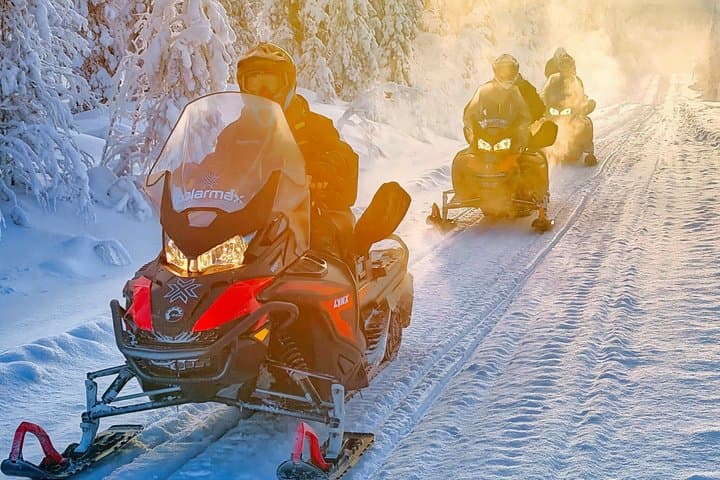Rovaniemi: Snowmobile Wilderness Tour, Small Group & Local Guide
