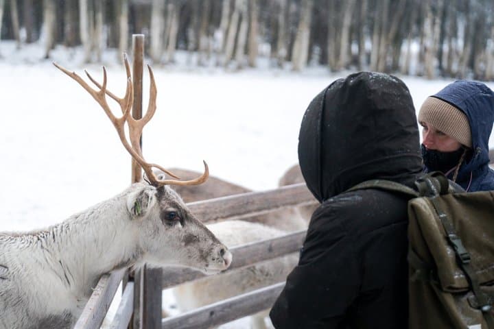 Rovaniemi: Insider Bucket List Adventure