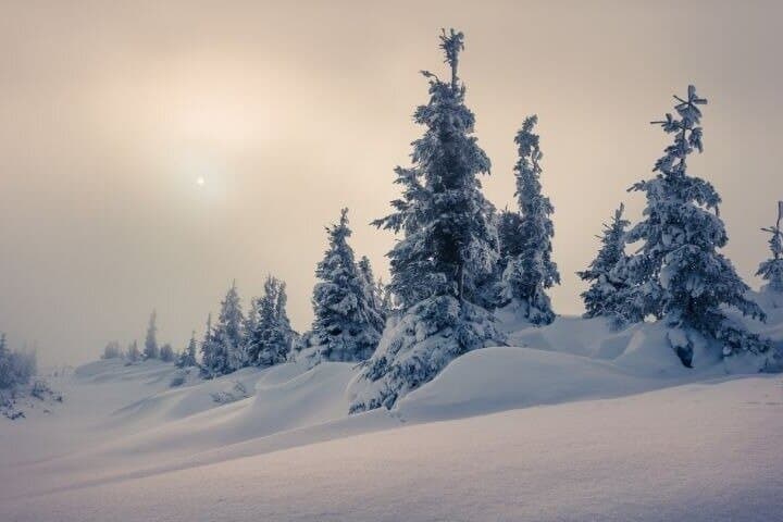 Levi to Rovaniemi Family Adventure Transfer with Guided Tour