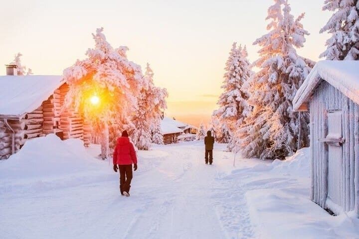 Levi to Rovaniemi Snowshoeing Transfer Experience