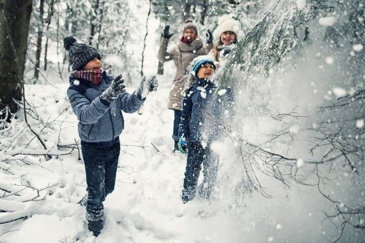 Levi to Rovaniemi Family Adventure Transfer with Guided Tour