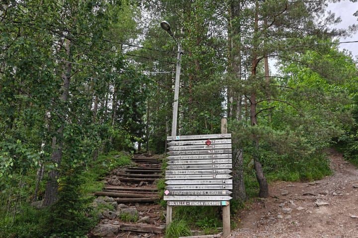 Classic Car Sightseeing Ride in Helsinki and Nuuksio with Locals