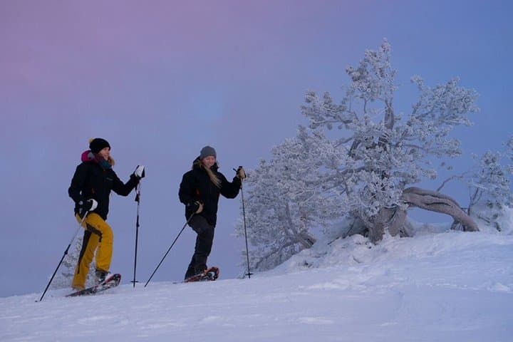 Levi to Rovaniemi Snowshoeing Transfer Experience
