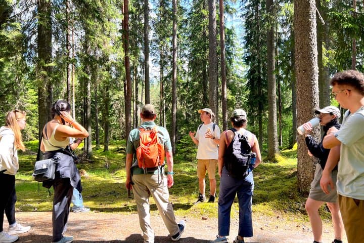 Magical Taiga Forest Hike with Lunch and Transportation