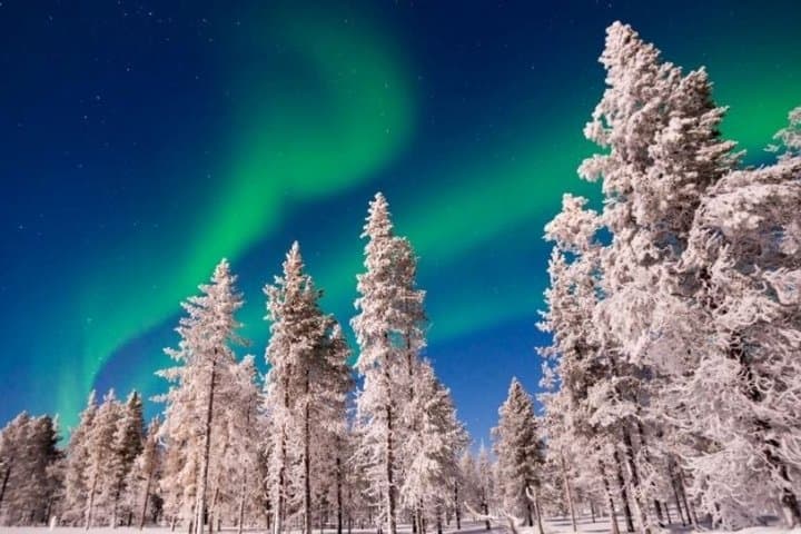 Northern Lights Hunt Transfer from Rovaniemi to Levi