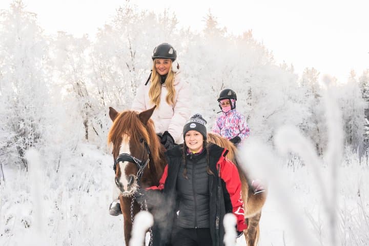 Tour to Aurora Horses Farm with Charming Finnhorses