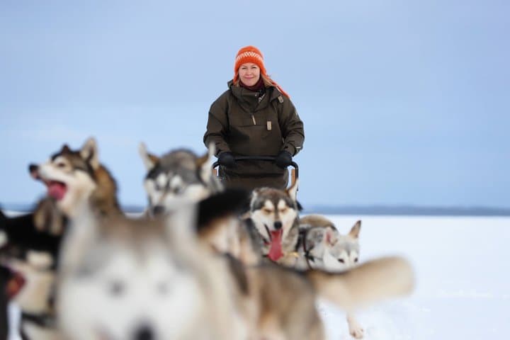 Experience 5-km Husky Safari from Levi