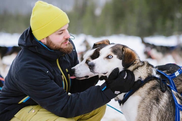 Experience 5-km Husky Safari from Levi