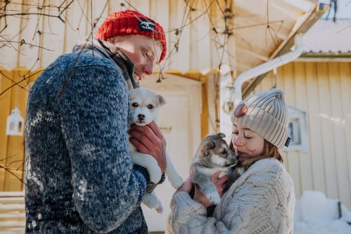 Experience 5-km Husky Safari from Levi