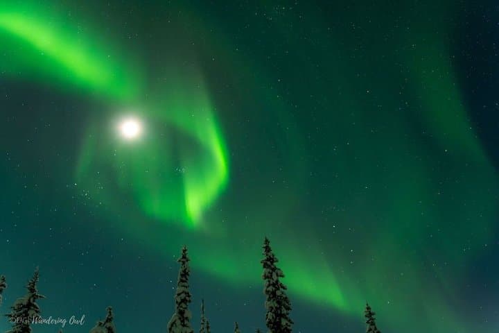 Aurora Walk on Snowshoes in the Finnish Wilderness