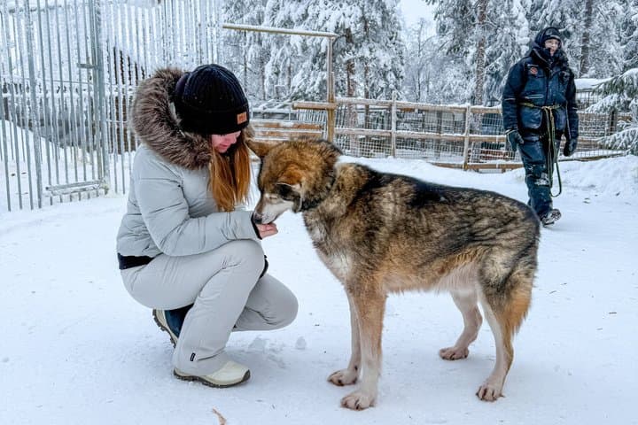 Husky and Reindeer Combo Tour with Santa and Santa’s Pets Tickets