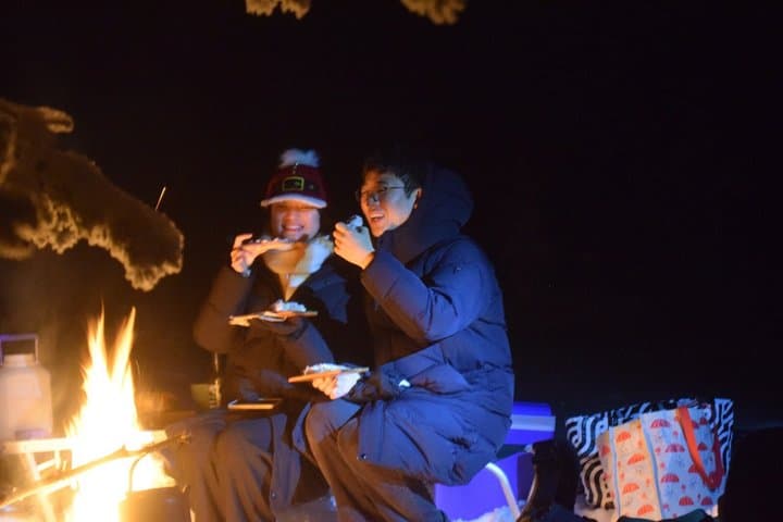 Rovaniemi: Private Northern Lights Tour
