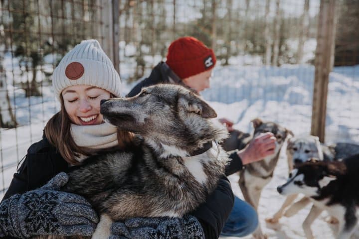 Experience 5-km Husky Safari from Levi