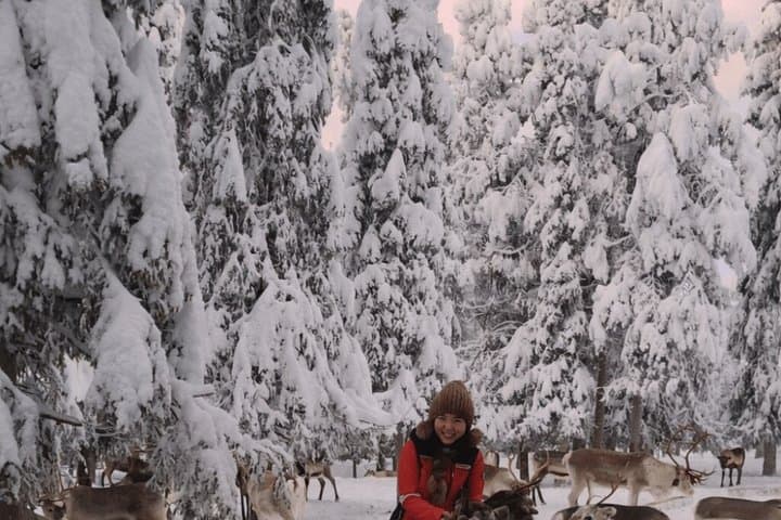 Reindeer Farm Visit and Snowshoe Adventure in wilderness Village