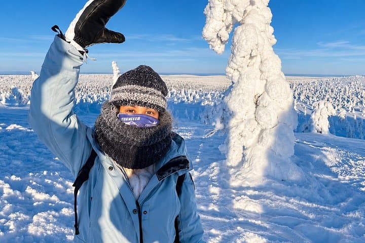 Riisitunturi National Park Full Day Guided Hike from Rovaniemi