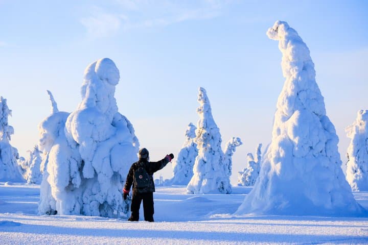 Magical Frozen Forests of Riisitunturi with Photography & BBQ
