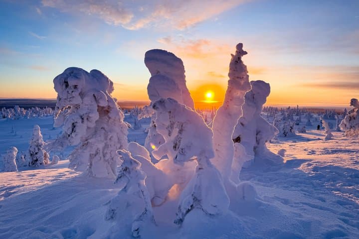 Magical Frozen Forests of Riisitunturi with Photography & BBQ