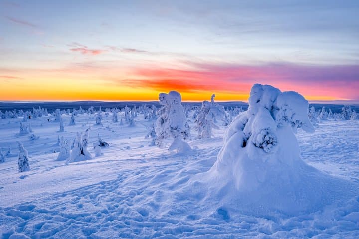 Magical Frozen Forests of Riisitunturi with Photography & BBQ