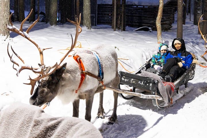 Reindeer Farm Visit with Reindeer Safari - Rovaniemi