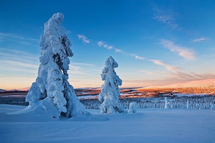 King Crab Experience to Norway from Saariselkä