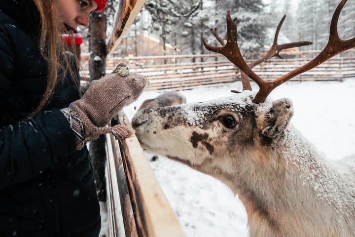 1 Day Pass Lapland Winter Park in Rovaniemi
